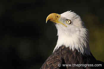 Gaming grants focused on environment and public safety, say Chilliwack MLAs – Chilliwack Progress - Chilliwack Progress