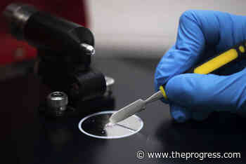 Drug-testing pilot seeking non-typical overdose reactions across Fraser East – Chilliwack Progress - Chilliwack Progress