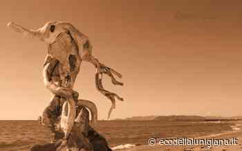 Pittura, scultura e fotografia nell'opera artistica di Erminio Tansini - Eco Della Lunigiana