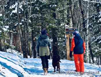 Winter adventures await in Coaticook - montrealfamilies.ca