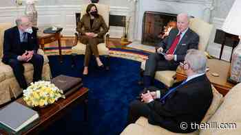 Biden meets with Durbin, Grassley on court pick