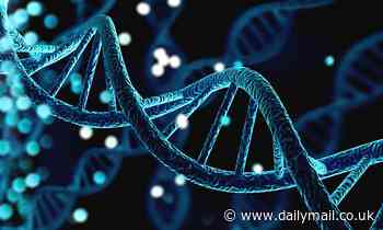 New study suggests genetic mutations are NOT always random