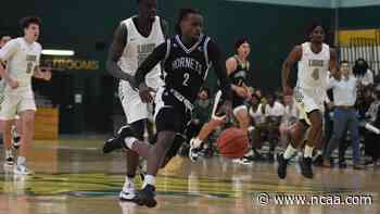 Tray Buchanan, Joel Scott and Andrew Sischo return on the January DII men's basketball all-stats team - NCAA.com