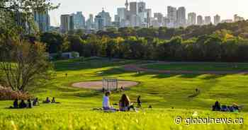 Survey shows these Canadian cities have lost green spaces amid urbanization