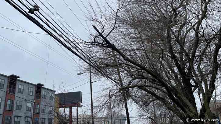 Progress Report: Trimming Austin's trees to keep the power on in a winter storm