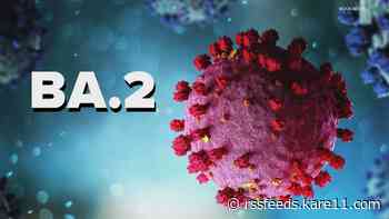 Doctors: BA.2 subvariant could affect omicron peak in Minnesota