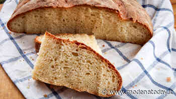 “Carpi non spreca”, raccolte in un anno 28 tonnellate di cibo - ModenaToday