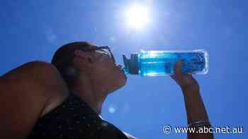 Hot and humid across south-east Queensland as Logan residents begin tornado clean-up