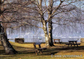Il Boschetto di Germignaga - VareseNews - Varesenews