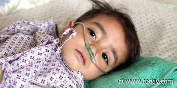 How to help the children in Afghanistan as humanitarian crisis grows