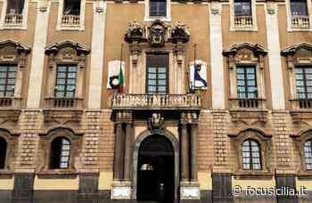 Catania, nel 2020 oltre 13 milioni di sgravi fiscali. Quasi 14 mila beneficiati - FocuSicilia