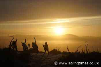 Third sunniest January on record for UK - Ealing Times