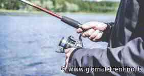 Lago di Garda, pescano coregoni fuori stagione: nei guai in due - Trentino