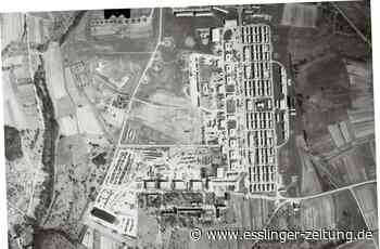 BW von oben – Scharnhauser Park - „Amibräute“ wurden zum Ärgernis - esslinger-zeitung.de