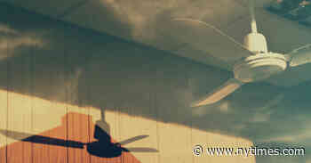 Clues to the Next Variant Are All Around Us