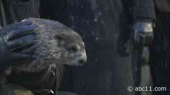 Six more weeks of winter? Punxsutawney Phil prepares to make Groundhog Day prediction