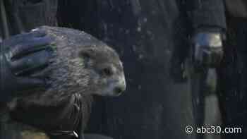 Six more weeks of winter? Punxsutawney Phil prepares to make Groundhog Day prediction