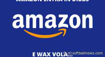 Amazon in the WAX ​​ecosystem | Where can $ WAXP go? Analyses - d1softballnews.com