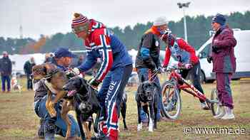 Warum eine Fahne für die Europameisterschaften 2022 in der Glücksburger Heide wichtig ist. - Mitteldeutsche Zeitung