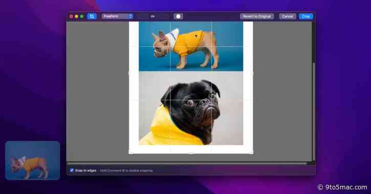 CleanShot X utility for Mac adds new quick controls, blur options, more