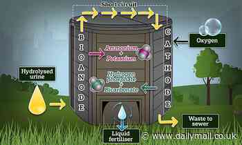 Australia plans to use human urine as plant fertiliser in city parks