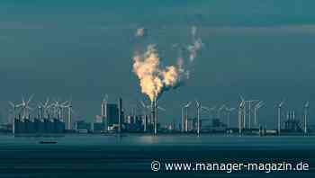 Taxonomie: EU-Kommission stuft Atomkraft und Erdgas als nachhaltig ein