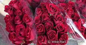 Kentwood to host 5th annual Valentine’s Day Dash 5k - Fox17