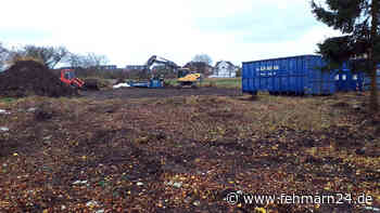 Fehmarn: Parzelle 401 ist picobello - fehmarn24.de