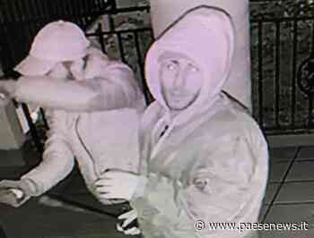 Capua – Furti, 4 malviventi svaligiano un'attività commerciale – Paese News cronaca politica sport caserta e provincia - Paesenews