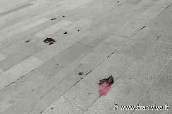 Piazzale della Stazione: tra arrivi e partenze, da giorni, una figura di ... - TraniViva