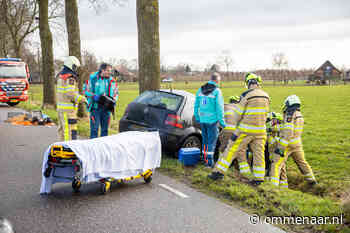 Jongeman gewond na harde klap tegen boom in Dalmsholte - De Ommenaar