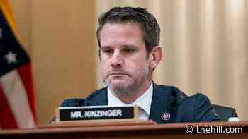 Kinzinger says 'uneasy alliances' needed to fight Trump influence