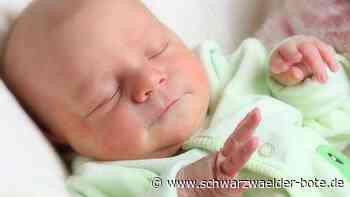 89 Geburten: Jettingen liegt 20 Prozent über dem Bundesdurchschnitt