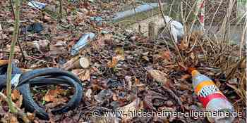 Über diesen Müll in Hildesheim ärgern sich Bürger ganz besonders - www.hildesheimer-allgemeine.de
