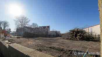 Witten: Stadt lässt vier Bäume auf Karl-Marx-Platz fällen - Westdeutsche Allgemeine Zeitung