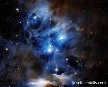 Hubble Space Telescope Captures a Star-Forming Chamaeleon