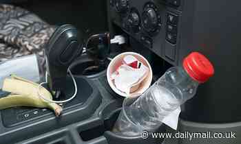 Inside of your car is dirtier than the average toilet, study says