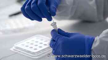 Corona im Zollernalbkreis - Neuer Rekordwert bei Infektionen - Schwarzwälder Bote