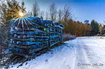 Im Januar gibt es Winter nur ansatzweise: Der Witterungsbericht für Balingen - Zollern-Alb-Kurier