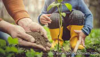 East Renfrewshire: Funding will help to create community allotment - Barrhead News