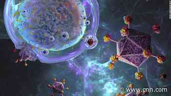 Two patients' leukemia in 'sustained' remission after groundbreaking treatment