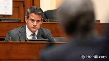 Kinzinger: Hawley 'one of the worst human beings'