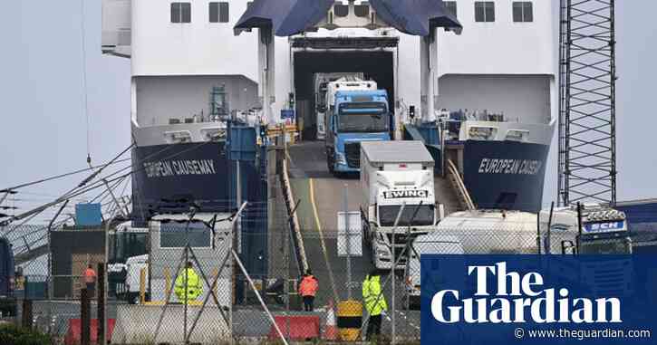 Northern Ireland minister orders halt to Brexit agri-food checks