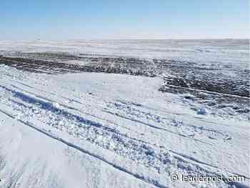 Search for man missing in blizzard continues in Weyburn area - Regina Leader-Post