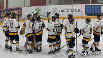 Hawks soar over Red Wings in Weyburn - northeastNOW
