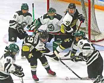 Weyburn Gold Wings fall to Saskatoon Stars, Wildcats - SaskToday.ca