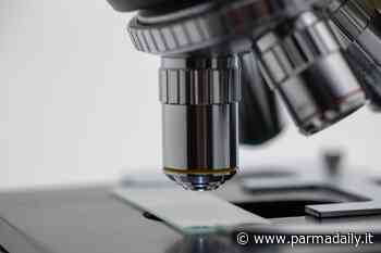 Stefano Volpi dell'Università di Parma vince una “Fellowship” dell'Associazione Italiana per la Ricerca sul Cancro - - ParmaDaily.it