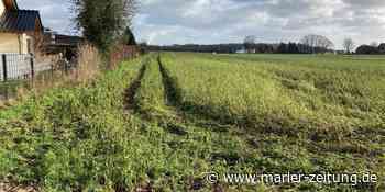Ein neuer Supermarkt an der Langehegge – Wer diese Idee gut findet - Marler Zeitung