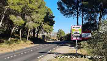 Montagnac / Villeveyrac : écuroducs, des ponts pour aider les écureuils à franchir la route en toute sécurité - Hérault-Tribune