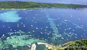 Cette start-up invite les entreprises à financer des actions écologiques - Nice-Matin